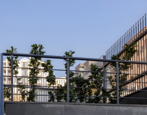 thumb Elizabeth Residence264